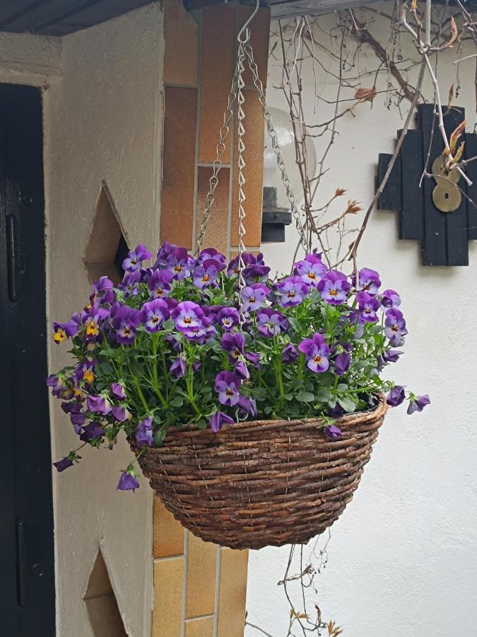 Apartamento Haus Luise Stapelburg Exterior foto
