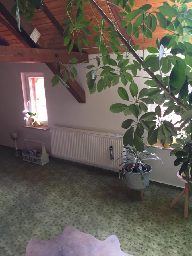 Apartamento Haus Luise Stapelburg Exterior foto