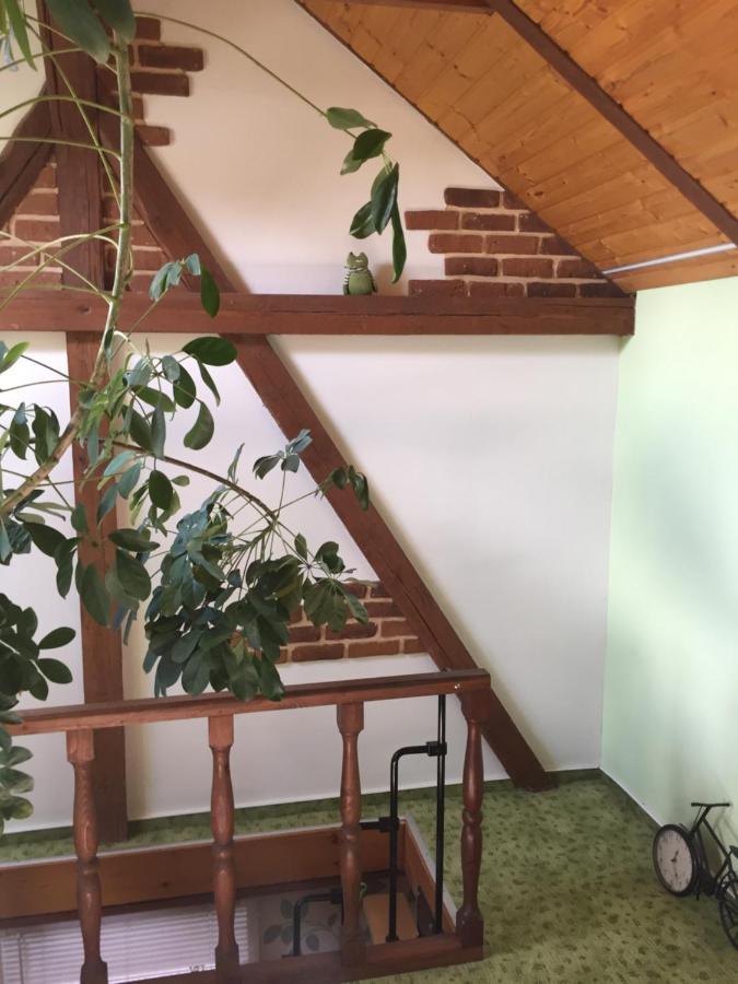 Apartamento Haus Luise Stapelburg Exterior foto